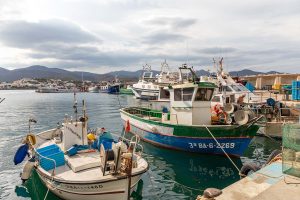 Embarcacions al port - Pescador de Cap de Creus