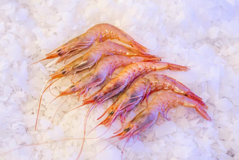 Gamba blanca ultracongelada del litoral gironí